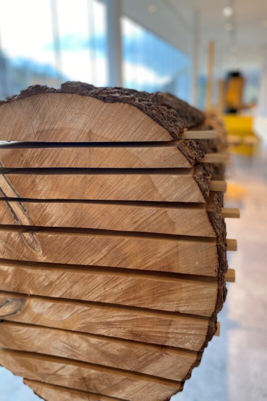 Lanser Arnbach Holzwelt